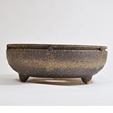 信楽焼 国産盆栽鉢信楽焼き小紋(中) 5号 幅15cm×高さ6cm