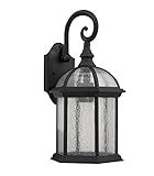 Chloe Lighting CH1611-BLK-OSD1 16-Inch Tall Transitional 1-Light Black Outdoor Wall Sconce [並行輸入品]