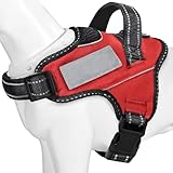 【日本企画犬ハーネス】BaoCheng 犬用胴輪 小型犬/中型犬/大型犬ハーネス 暑さ対策 喉に優しい おしゃれな色 通気性 負担がない ネームプレート 7色選択(レッド、S)