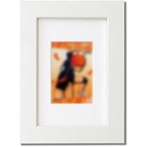 Amazon.co.jp: 【 カードを飾る額縁 】トレカ 額 1枚 収納 フレーム