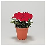 【935-11】造花鉢(5号鉢) バラ 赤色