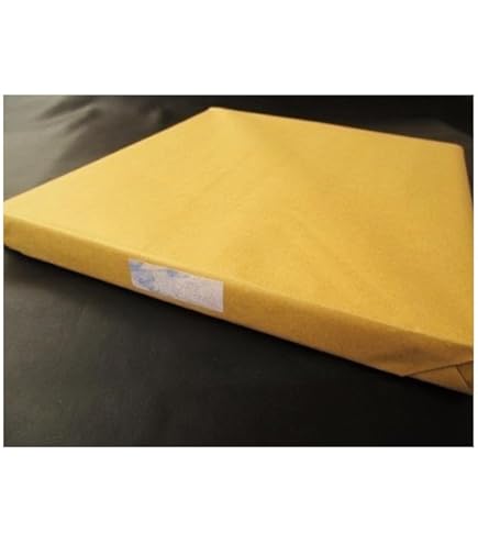 最終価格 中国書道画仙紙２尺✕８尺 尺八屏　50枚 Amazon.co.jp: 書道紙 手漉き画仙紙【華厳 2×8尺 尺八屏(53