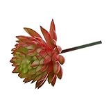 Baosity プラスチック製　多肉植物　飾り物　