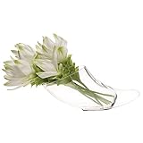 Chive Hudson Large Horn Vase [並行輸入品]