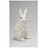 エイチツーオー　カントリーラビット　ＬＬ HT6017