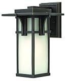 Hinkley Lighting 2230OZ-GU24 Manhattan Outdoor 1-Light Lantern [並行輸入品]