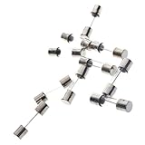 BCP pack of 10 pcs F10AL Fast-Blow Fuse 10A 250V Glass Fuses 5 x 20 mm (10A) [並行輸入品]