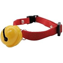 41jrM48wUlL._AC_UL210_SR210,