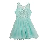 Rare Editions Girls ' 7 – 16メッシュドレスwithビーズ US サイズ: 16 カラー: ブルー