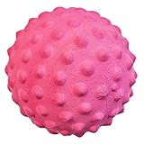 MARTIN SELLIER(マーティンセラー) 犬用おもちゃ ソフトラバーボール スパイク ピンク