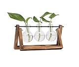 LS Hyindoor 水耕栽培 透明 ガラス 花瓶 テラリウム容器 花 植物ポット フラワーベース レトロ 木製枠