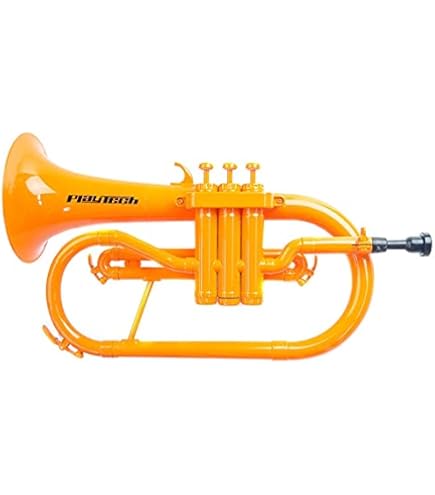 フリューゲルホーン PLAYTEC 美品 Amazon | PLAYTECH (プレイテック) フリューゲルホルン オートトリガー