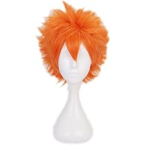 Amazon.co.jp: Akixen 日向 翔阳 ひなた しょうよう ウィッグ コスプレ
