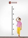 DecorSmart Plastic Growth Chart Ruler Wall Stickers, Large Plastic Ruler to Measure Children Growing