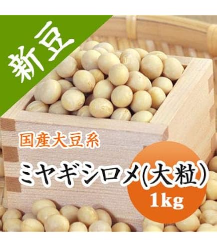 Amazon.co.jp: 国産 大豆 【令和7年産】 宮城県産 ミヤギシロメ 大粒