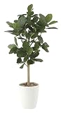 造花アート・観葉植物　パンノ木90＜ 自宅のインテリア 店内の装飾 プレゼントに ＞