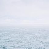 White Out I Saw You Yesterday