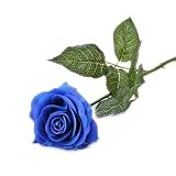 リアルタッチラテックスとデザインの装飾の結婚式のためにバラの花の家