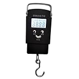 Fenteer 便携式スケール　吊り下げ　小型　はかり　デジタル　LCDライト　50KG負荷　測定ツール　自動電源切れ　全３色 - 白いバックライト