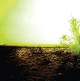 Strings of Consciousness [Analog]