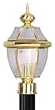 Livex Lighting 2153-02 Outdoor Post with Clear Beveled Glass Shades, Polished Brass [並行輸入品]