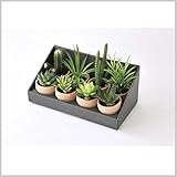 造花 インテリア 観葉植物 イミテーション 植物 サボテン DECOR IMITATION MINI CACTUS アソート