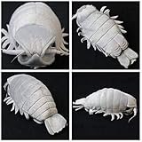 深海生物シリーズダイオウグソクムシ ぬいぐるみM グレー 7401