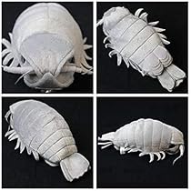 Amazon.co.jp: 深海生物シリーズダイオウグソクムシ ぬいぐるみM