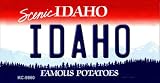 Smart Blonde KC-9860 Idaho State Background Metal Novelty44; Key Chain