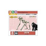 リーメント 303 ゴリラ ホビー エトセトラ おもちゃ その他のおもちゃ [並行輸入品]