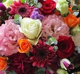 ＴＶチャンピオン出場【今旬フラワーアレンジメント10,000円 スタイリッシュ 秋色】誕生日 花　誕生日 プレゼント 女性 フラワーアレンジメント 開業開店祝い 花 劇場 楽屋花 ギフト お見舞い お