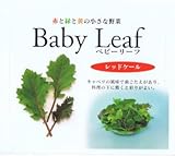 【種子】ベビーリーフ・レッドケール 1dl