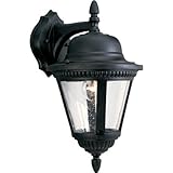 Progress Lighting P5863-31 1-Light Cast Wall Lantern with Clear Seeded Glass, Textured Black by Prog