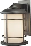 Feiss OL2200BB, Lighthouse, 1 Light Wall Lantern, Burnished Bronze [並行輸入品]
