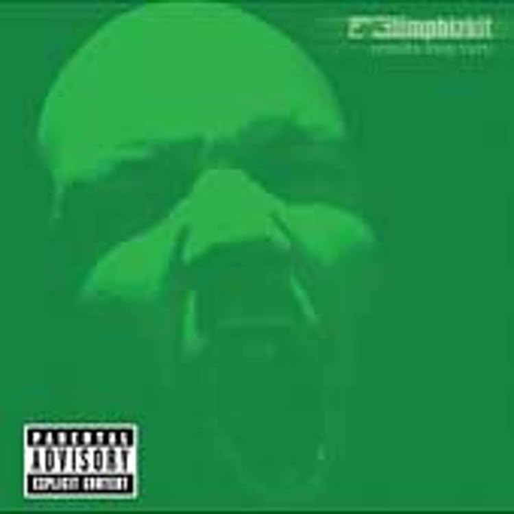 LiMP Bizkit リンプビズキット　レコード　LP アルバム　シングル LIMP BIZKIT (リンプ・ビズキット) - Significant Other (US
