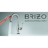 Brizo Odin :ハンドシャワー