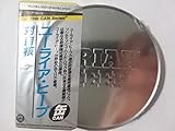 缶シリーズ/対自核