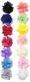 Little Cuties Little Girls 14 LargeシフォンフラワーClippies、アソートカラー、infant-toddler
