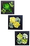 MedianField 【 ウォールグリーン 3個 セット 】 フェイクグリーン 観葉植物 造花 壁掛け 人工観葉植物 インテリア アンティーク 雑貨 人工 フェイク 壁掛 グリーン 緑 植物 (黒×