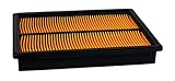ロータリー# 10678 Air Filter for Honda # 17210-zj1 – 841