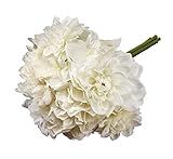 Victoria Lynn Mixed Dahlia Hydrangea Bouquet - 10 inches [並行輸入品]