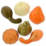 秋装飾Mini Pumpkin – Fall Gourds 5 CT ホワイト