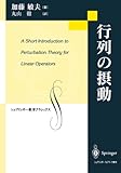 行列の摂動 (シュプリンガー数学クラシックス)