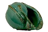 Urban Trends Collection 72029 5 in. H Ceramic Vase Shell Blue
