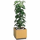 プラントボックス（ツキ板タイプ） 幅450