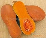 Honey pumpkin seeds 5 seeds healthy vegetable seeds