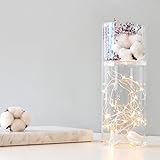 【Blooming＆me】フラワーデザイナーおすすめ おしゃれ度UP！ドライフラワー 綿花とかすみ草のLEDライトSET (綿花＋かすみ草＋２WAY瓶＋LEDライト) [並行輸入品]