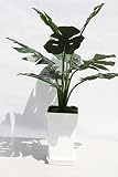 インテリアグリーン人工観葉植物・モンステラM受け皿付き、光触媒製品