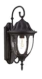 Acclaim 5061BK Suffolk Collection 1-Light Wall Mount Outdoor Fixture, Matte Black [並行輸入品]