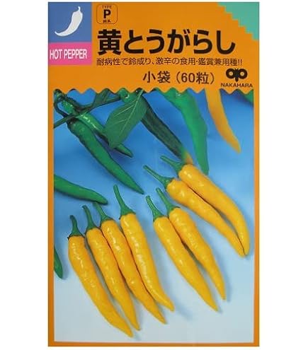 Amazon.co.jp: とうがらし 種子 ビキーニョ 20粒 トウガラシ